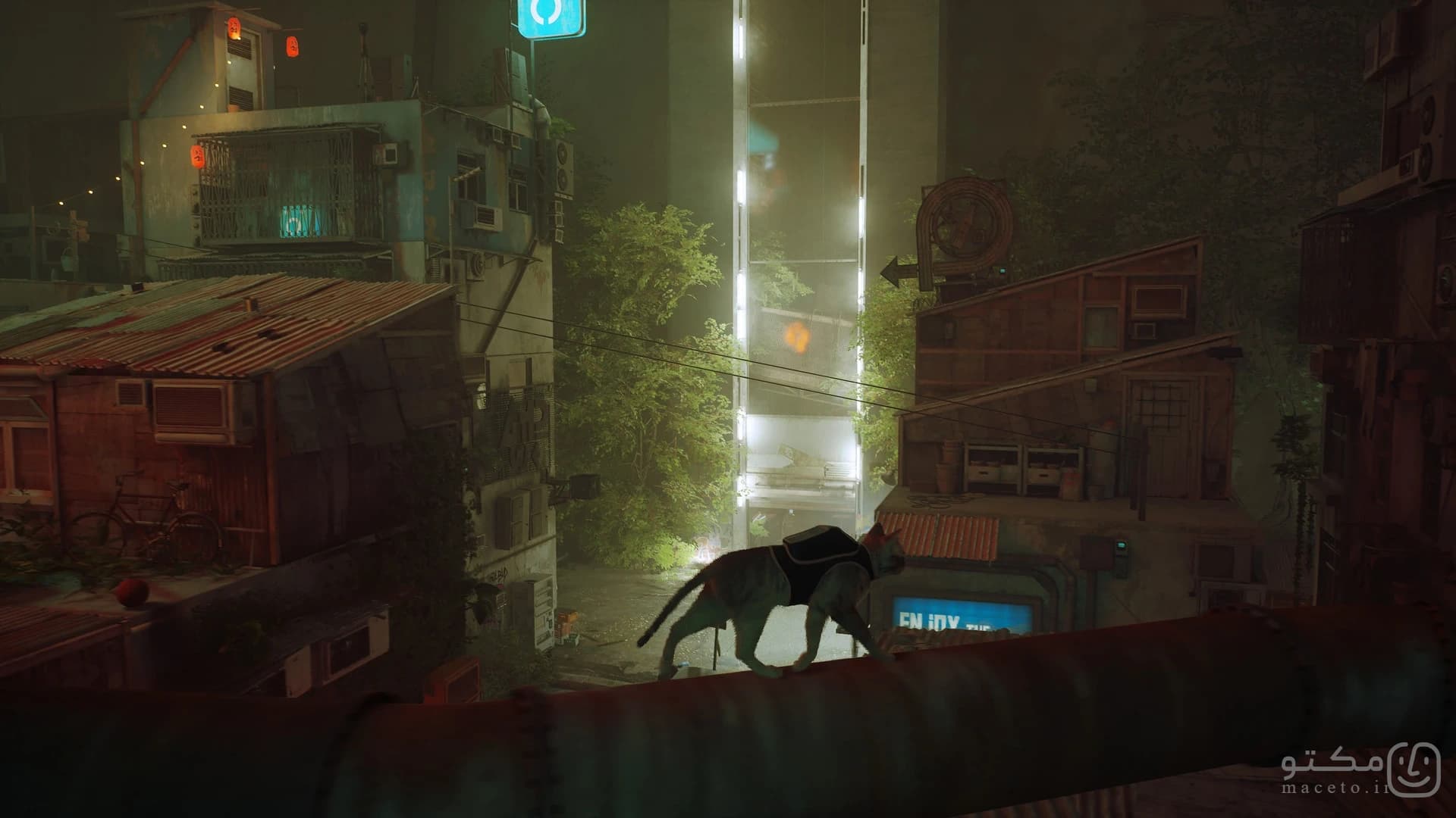 Stray - تصویر 3