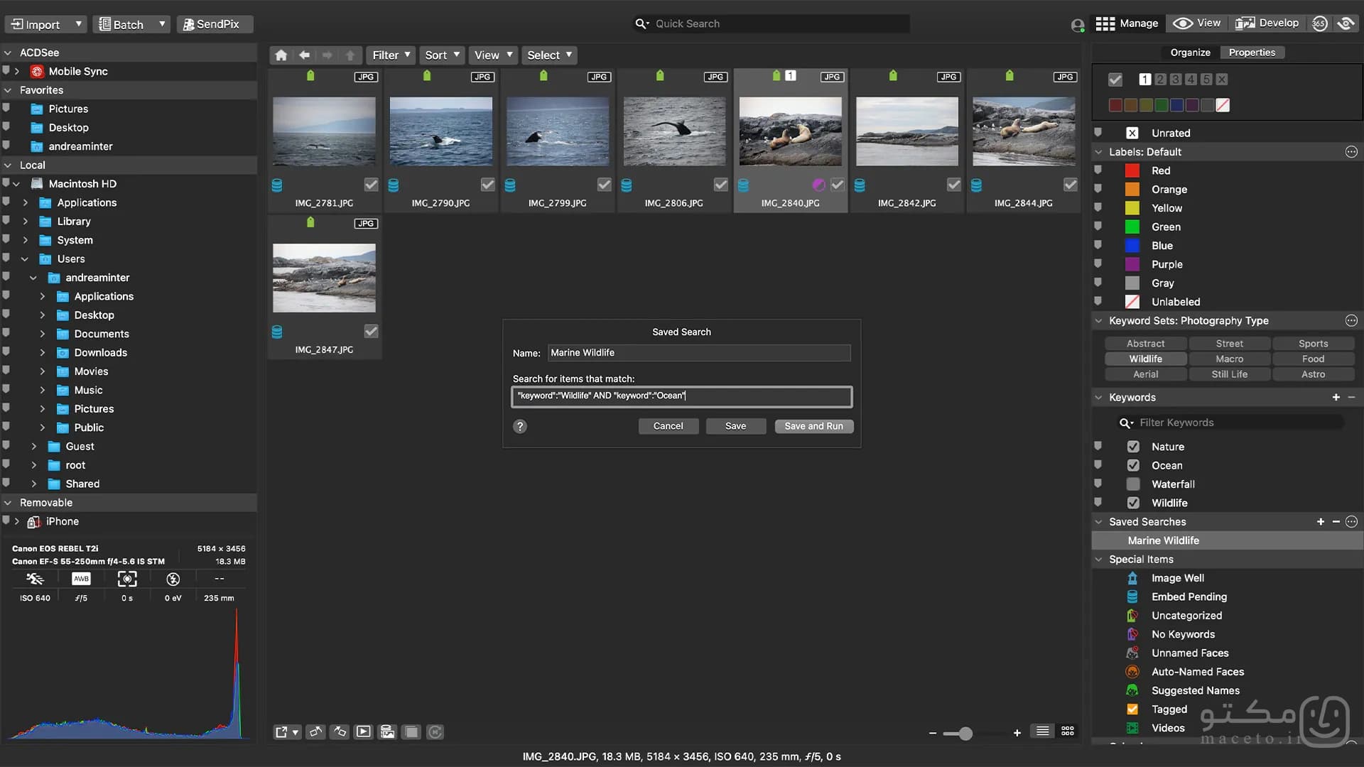 ACDSee Photo Studio 11 - تصویر 1